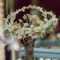 Bat-Mitzvah Israel Tree Cake
