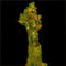 Tree Woman Cake
